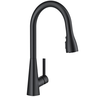 Pull Down Kitchen Faucet With Deck Plate