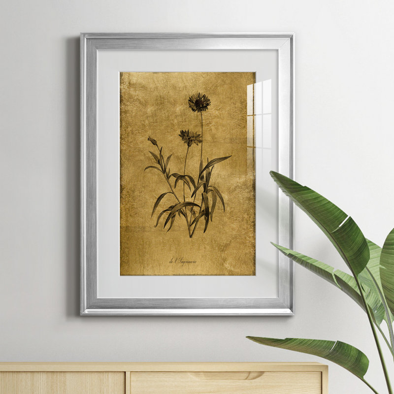 Croquis doré Botanique I - Cadre photo, reproduction d'art sur papier, H 24,5 po x l 18,5 po x P 1,5 po, Argent