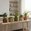Pot rond Strata SM - brun foncé