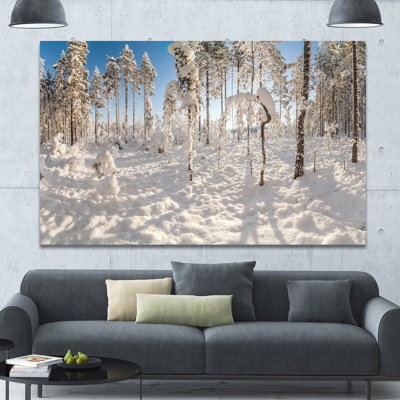 " Winter Snow Covered Wood "
