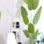 62.99cm Plant