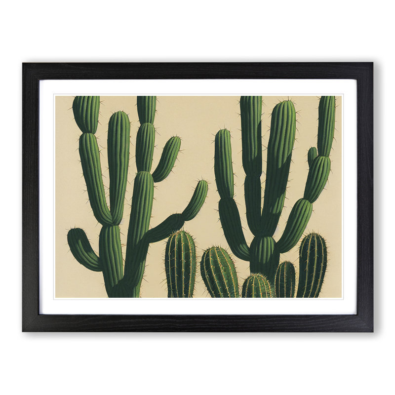 A Contemporary Cactus - Framed Print, Black, 46cm H x 64cm W x 2cm D