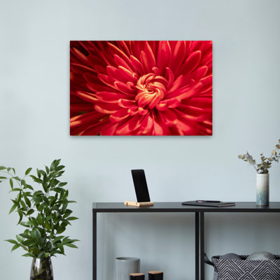 «Red Petal Serenade II», photographie florale et botanique contemporaine