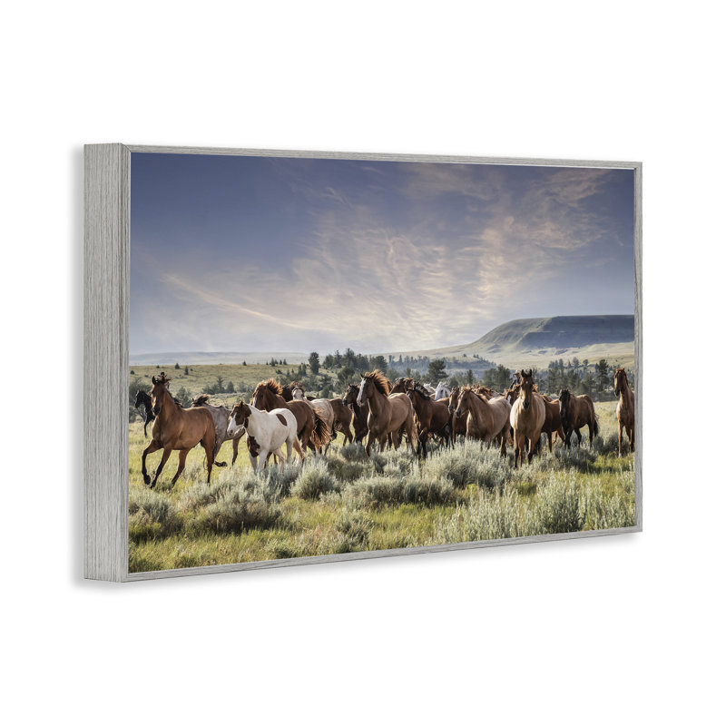 «Bustling Horse Herd in Nature Grey», estampe numérique de PHBurchett, H 20 po x l 30 po, Estampe numérique Farmhouse