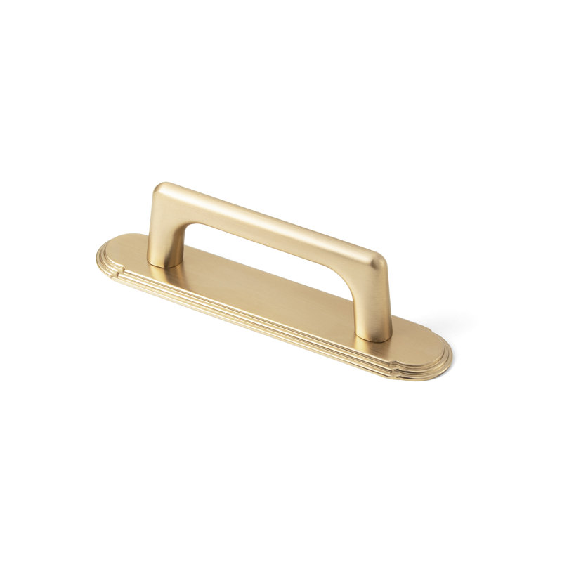 Poignée barre classique avec panneau arrière, 12 3/5'', Bronze champagne