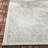 Danya Aqua/Cream Indoor/Outdoor Area Rug-646800175