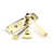 Polished Brass