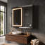 Manigault 700 Wall Mounted Framed Mirrored Bathroom Cabinets 4 Adjustable Shelves with Mirror