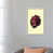 White Floater Framed