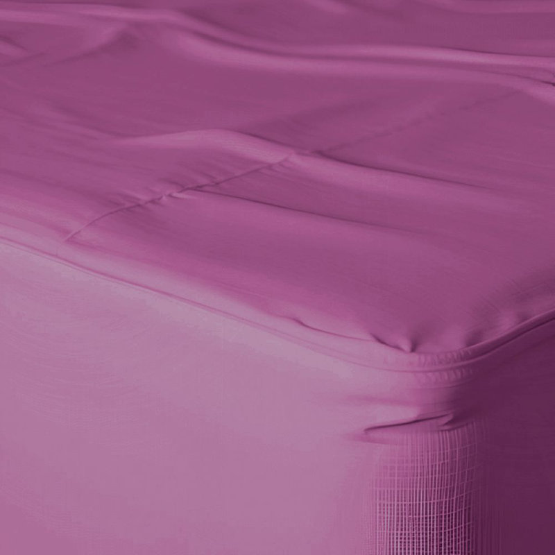 Paul's Microfibre Super Soft Brushed Deep Fitted Bed Sheet, Single (3'), Purple