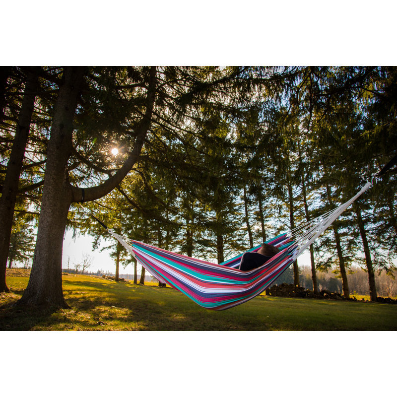 Hamac pour arbre double style Lewes, H 2 po x l 63 po x P 144 po, Plumeria