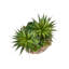Plante artificielle