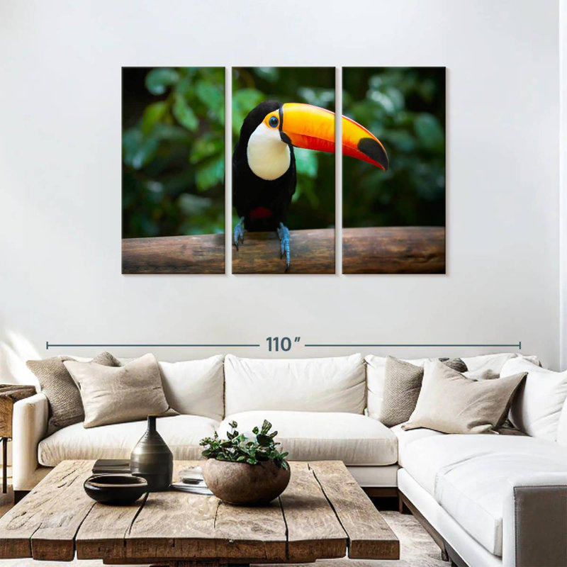 Brampt Brazilian Toucan, 48" H x 74" W