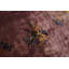 Hand Knotted Wool Area Rug in Purple