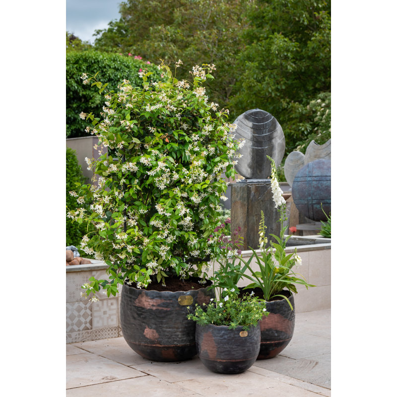 3 Pieces Plant Pot Set