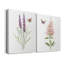 «Wildflower Botanical I», ensemble de 2 reproductions d'art-808463877-808811003-808811004