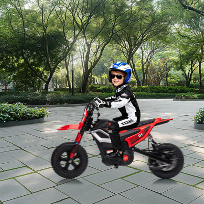 24V Kids Electric Dirt Bike, 350W Mini Electric Motorcycle with 12" Fat Tires, Grip Throttle, Max 14 MPH Speed, 130 Lbs Load Capacity, Off-Road Electric Toy Bike