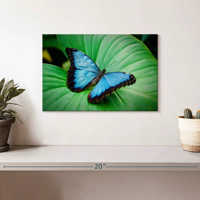 Blue Morpho On Leaf, 8" H x 12" W