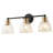 3-lamp matte black iron adjustable Vanity Light