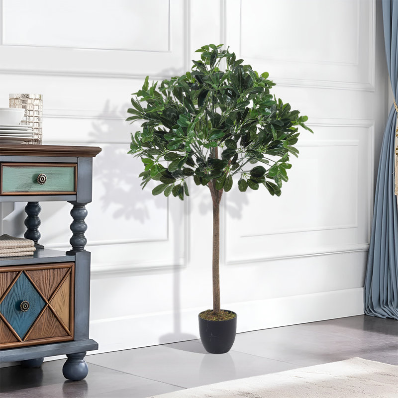 Burkitt 122cm Plant: Lifelike & Zero Maintenance