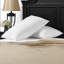 Oreiller pour couette en mélange de coton Superior-502597201