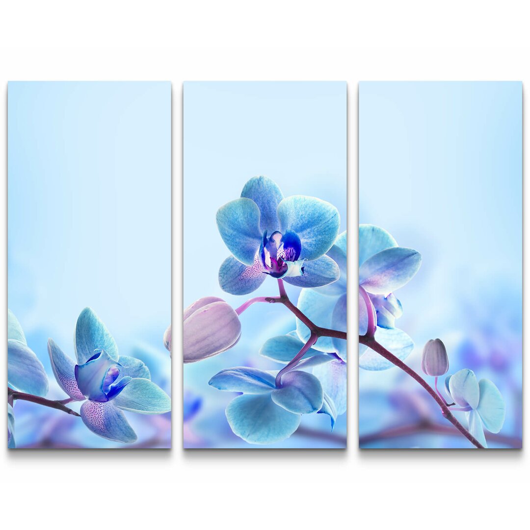 3-tlg. Leinwandbilder-Set Nahaufnahme einer Blaue Orchidee