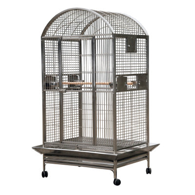 X Large Dome Top Stainless Steel by A&E