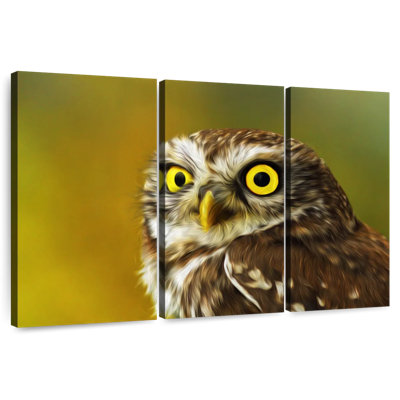 Brampt Cute Little Owl