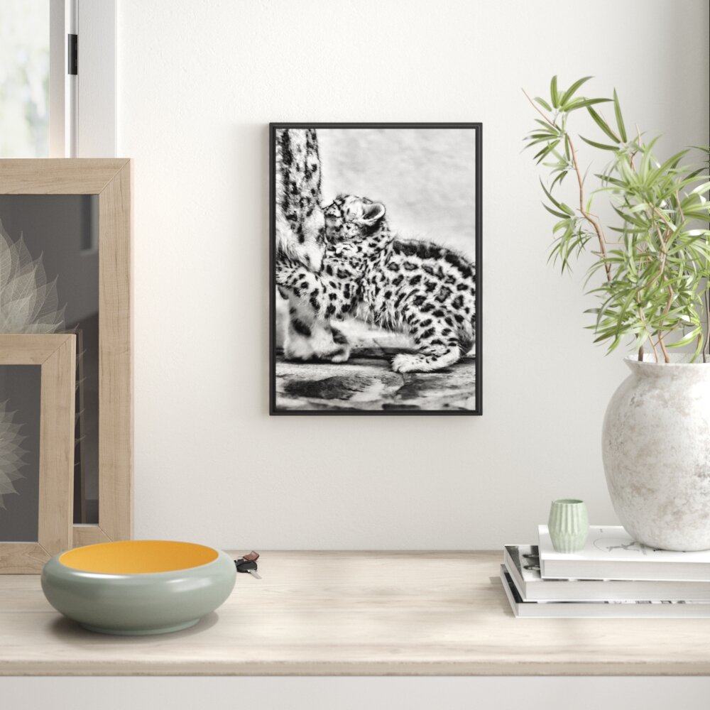 Gerahmtes Wandbild kleiner Leopard beim Spielen