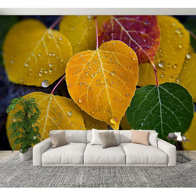 Papier peint auto-adhésif, feuilles de tremble et feuilles d'automne, paysage d'automne naturel H 100 po x l 144 po, papier peint amovible en PVC, art mural pour le salon de la chambre à coucher