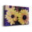 " Susans IV "-1678554914