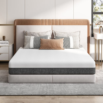 Hesperus Memory Foam Mattress Height