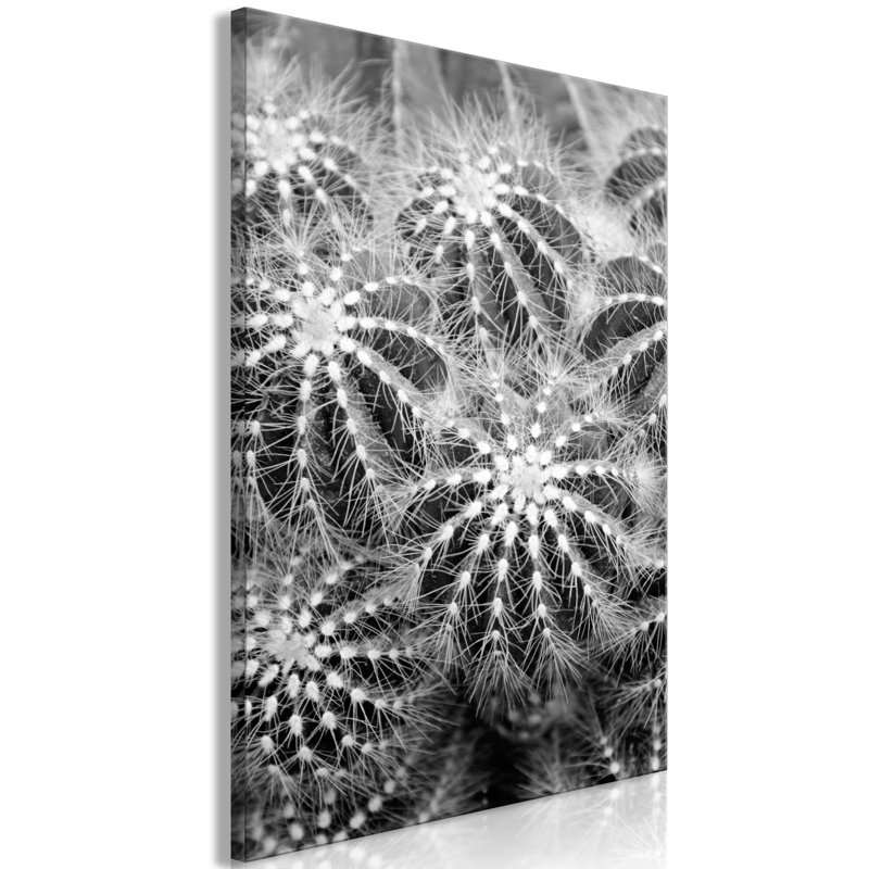 No Frame Print on Canvas, 40cm H x 60cm W