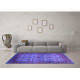 Oriental Indoor Rug