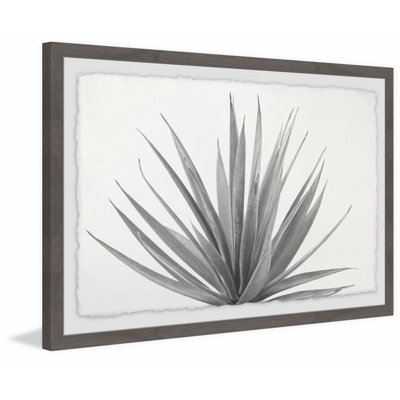Marginata - Single Picture Frame Print