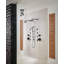 Essential™ Ceiling Mount Pendant Raincan Showerhead-51914192