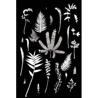 Botanical Collage 3 Print