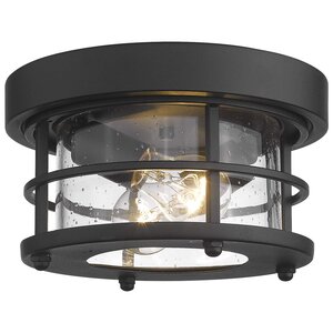 2-light 10 Inch Black Finish Round Farmhouse Flush Mount Ceiling Light Fixture