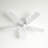 Brandee 42 " Ceiling Fan with Light Kit-32114496
