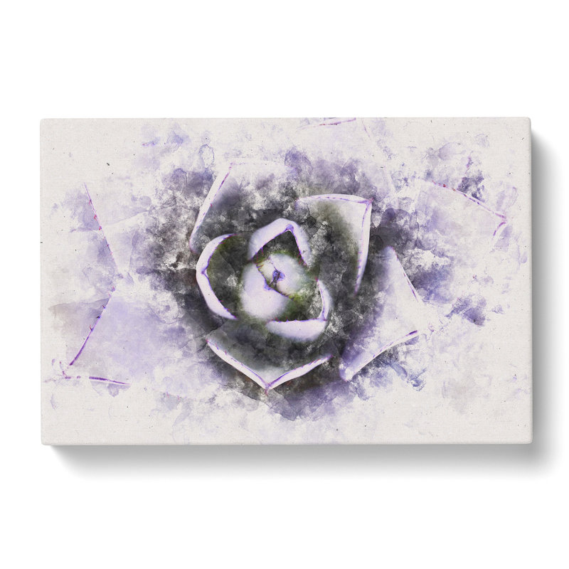 Lilac Succulent Plant Watercolour - Wrapped Canvas Print, 40cm H x 60cm W x 3cm D