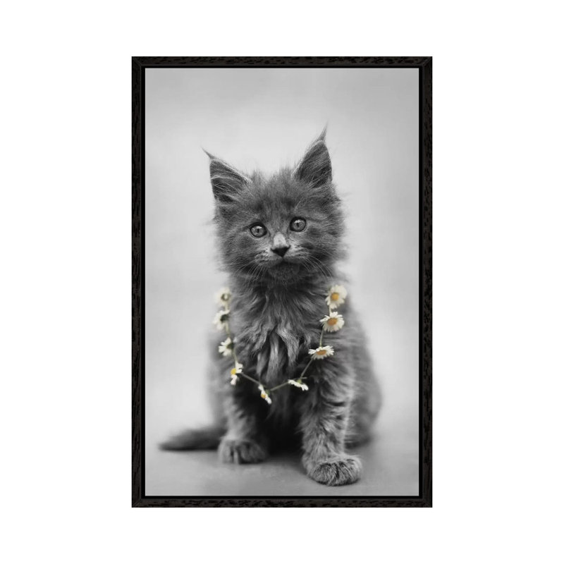 Lara by Rachael Hale - Print on Canvas, Black Framed, 101.6 cm H x 66.04 cm W