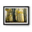 In Love with Golden Fall - Photographie avec cadre photo-1388907203-1388907206
