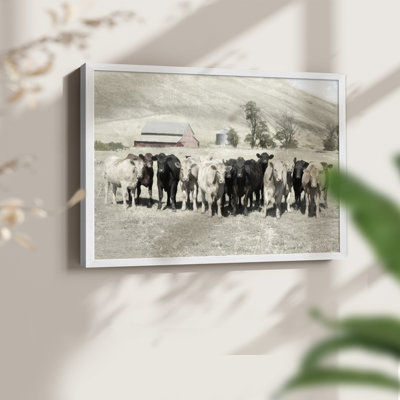 Cattle Ranch -Framed Print - Restickable