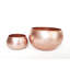 Shawnda Metal Pot Planter