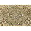 Tapis oriental délavé semi-antique à motif floral beige 6 pi 5 po x 9 pi 4 po