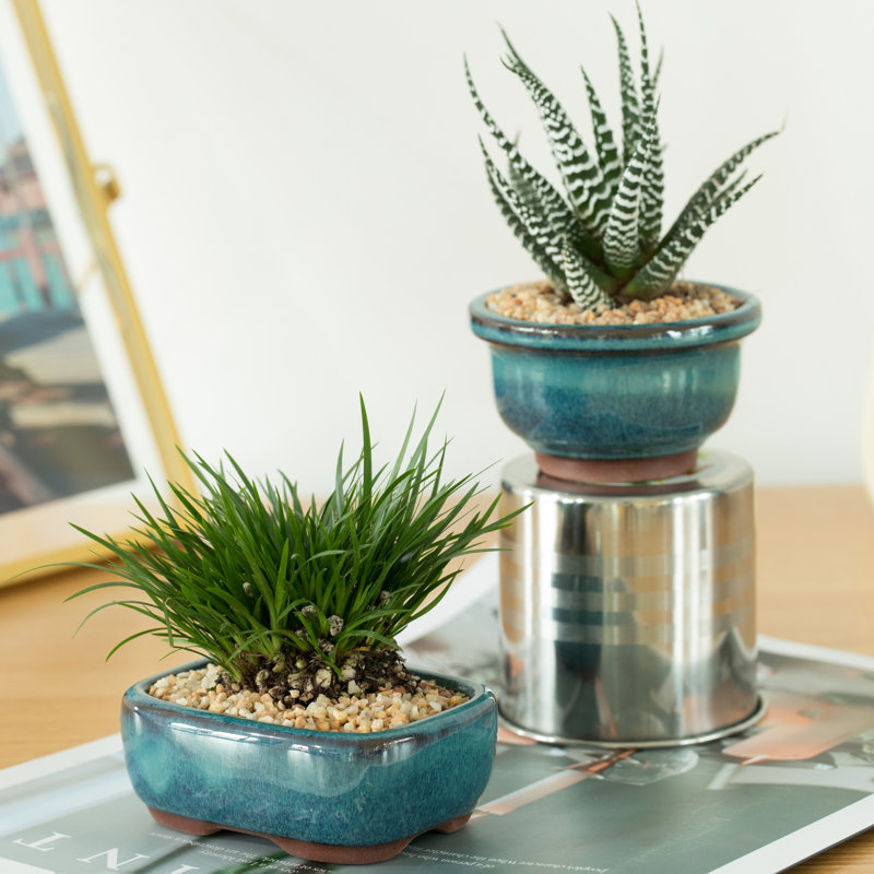 Ensemble de pots à fleurs en céramique 4 pièces