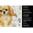 Gold Tibetan Spaniel Coffee Bar Kitchen Towel-1168063406
