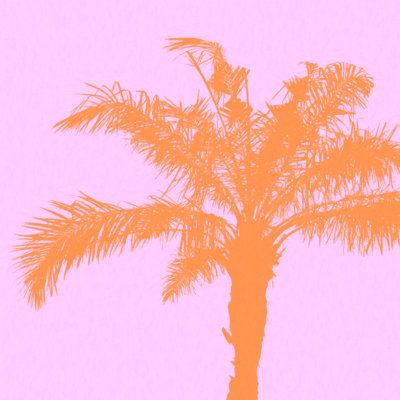 Orange Palm - Wrapped Canvas Graphic Art