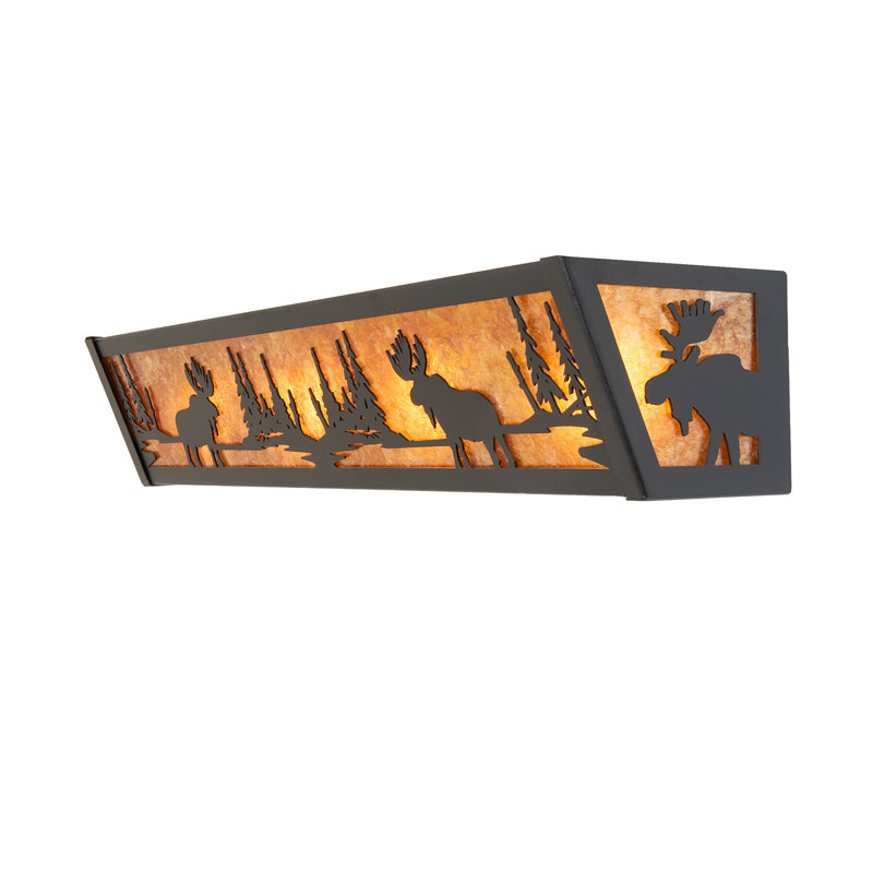 4 - Light Vanity Light