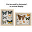Delcastillo Shadowbox 1.5” Deep Box Frame for Objects with Glass Front-252754821-252754840